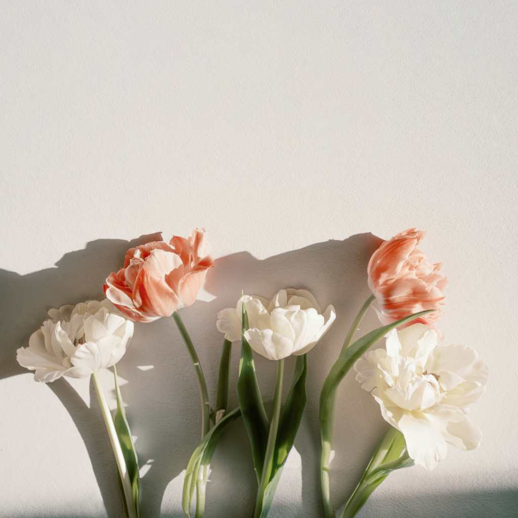 Tulpenstrauss als Fr&uuml;hlingsstimmungsbild im Beautylounge Blog.