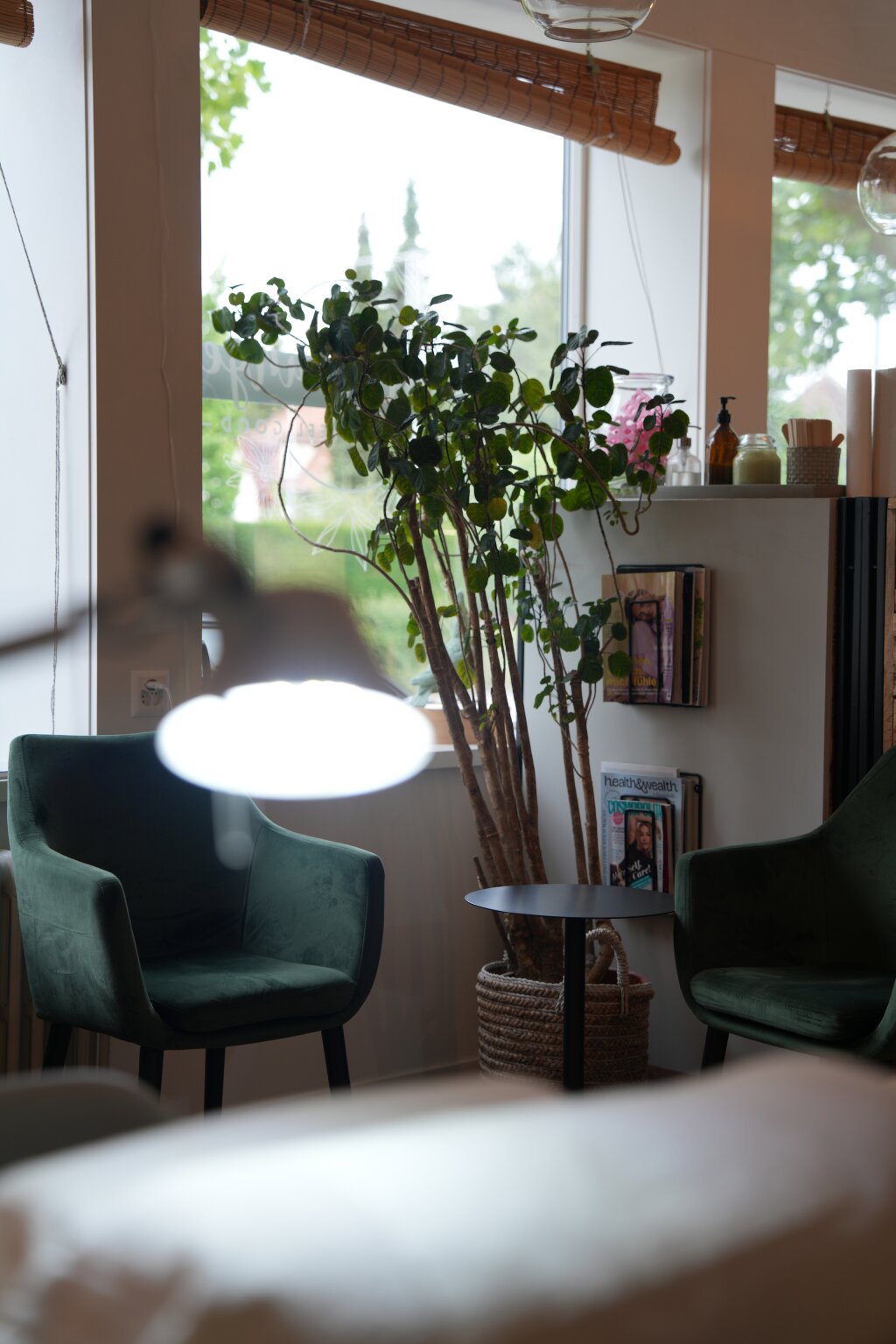 Wartebereich mit Sesseln und Pflanzen im Beautylounge Studio Reinach.