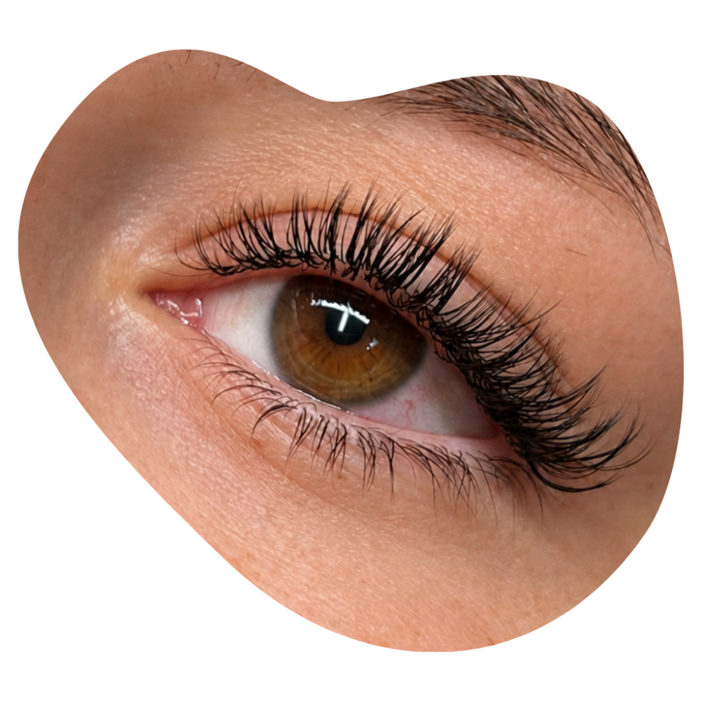 Auge mit Lashextensions 1:1 Natural Look: eine einzelne Kunstwimper auf jeder Naturwimper.