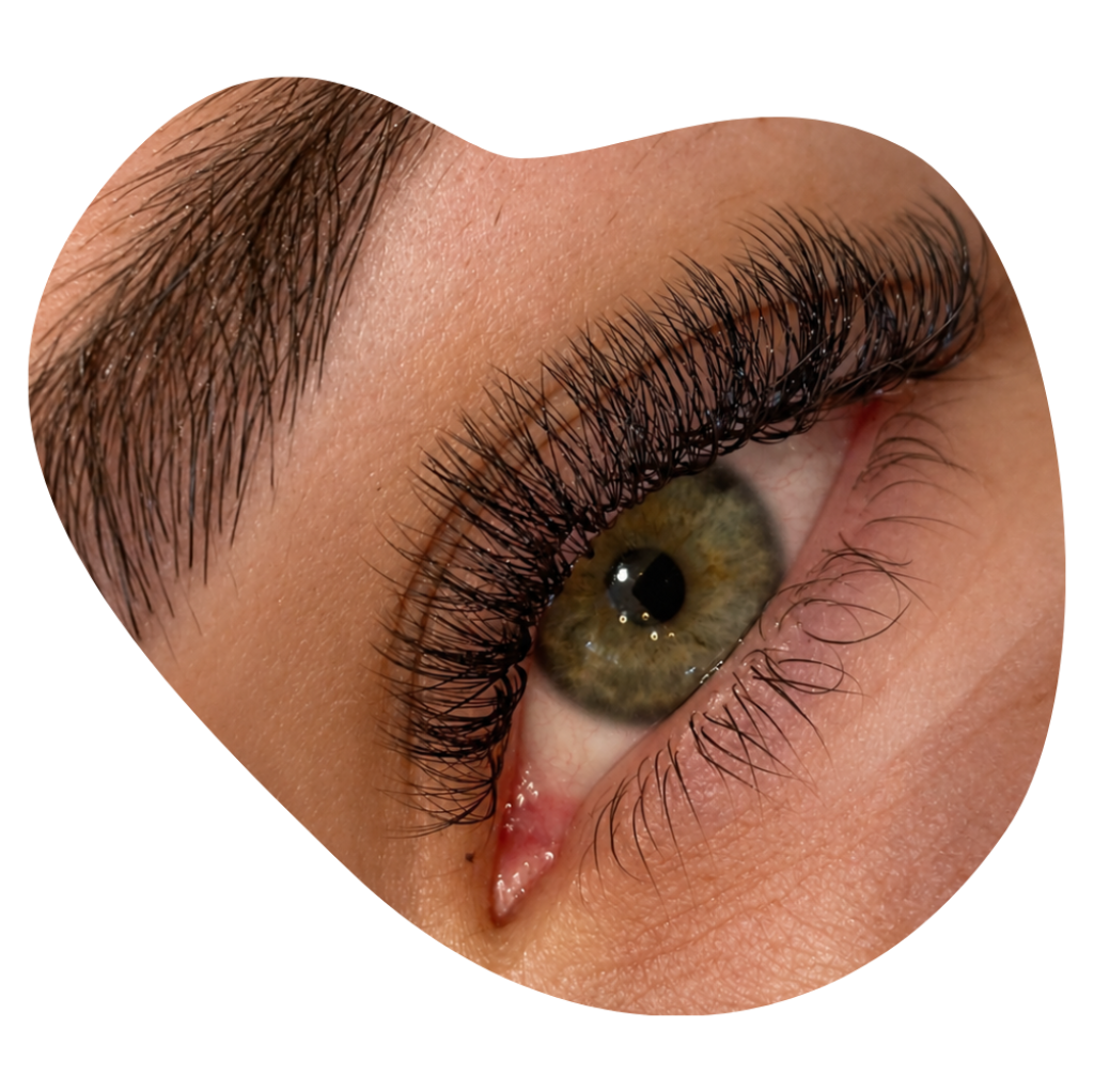 Nahaufnahme eines Auges mit Wimpernverl&auml;ngerung in Volumentechnik: dichte, lange Lashextensions.