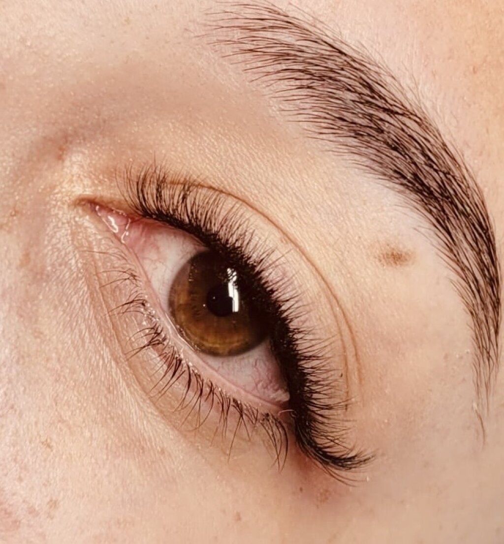 Nahaufnahme eines Auges mit neu gesetzten Lashextensions, Wimpernverl&auml;ngerung in Basel.