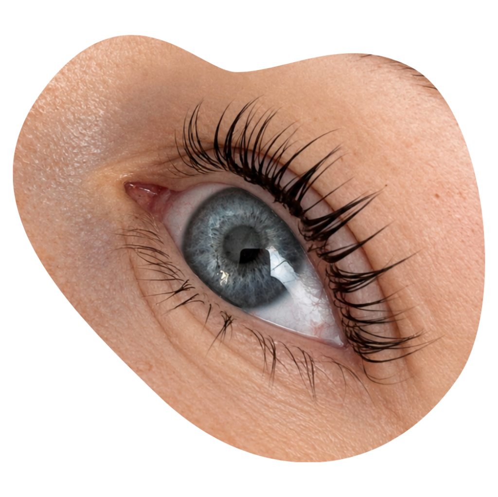 Blaues Auge mit geschwungenen Naturwimpern nach dem Wimpernlifting ohne k&uuml;nstliche Wimpern.