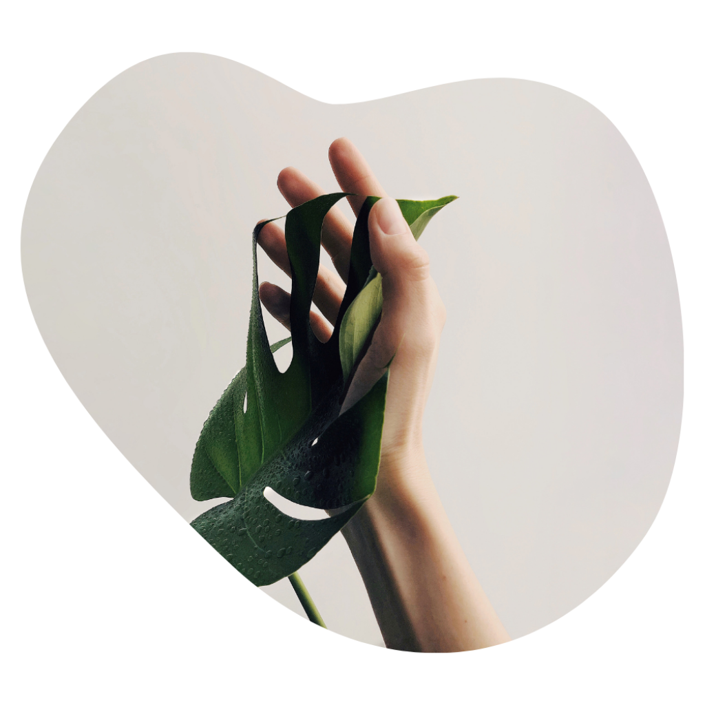 Hand mit gepflegten N&auml;geln h&auml;lt ein Monstera Blatt, Bildmotiv der Beautylounge.